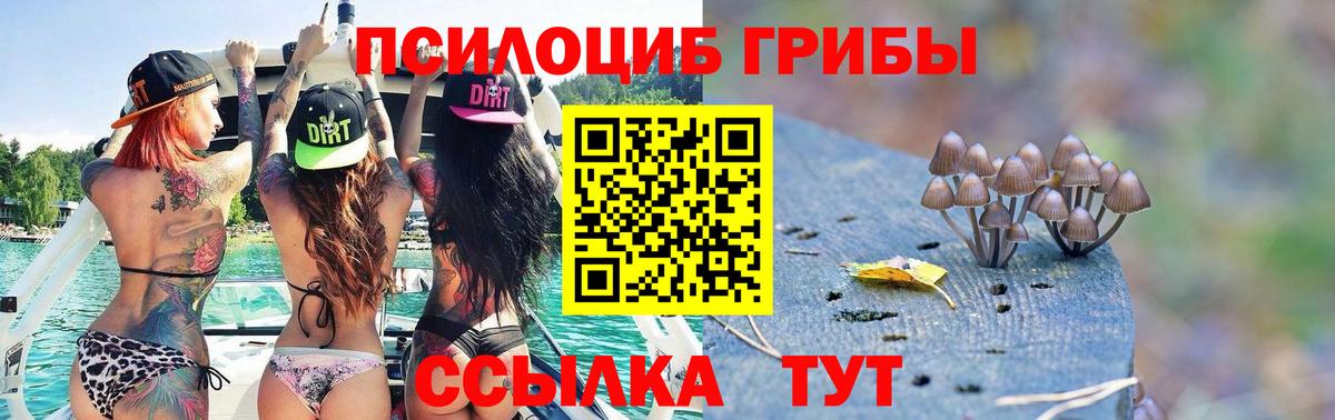 Среднеуральск  Псилоцибиновые грибы мицелий  Вход с VPN 