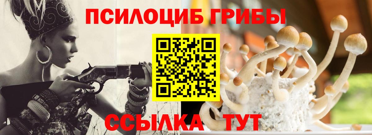 Галлюциногенные грибы GOLDEN TEACHER Среднеуральск